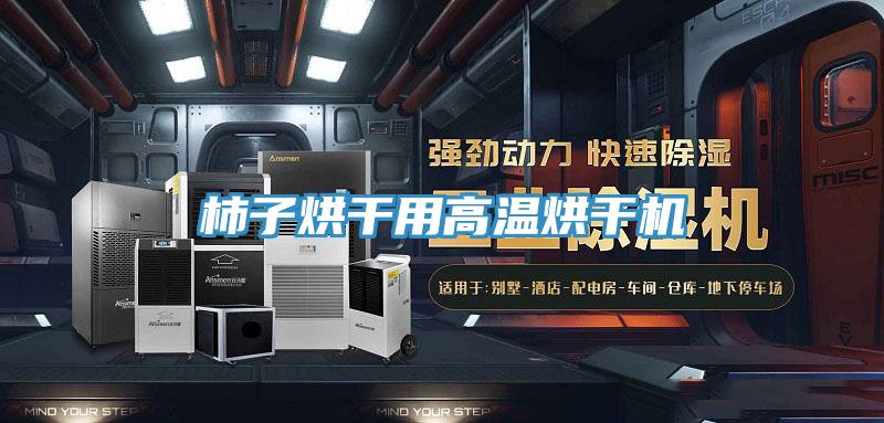 柿子烘干用高溫烘干機