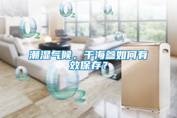 潮濕氣候，干海參如何有效保存？