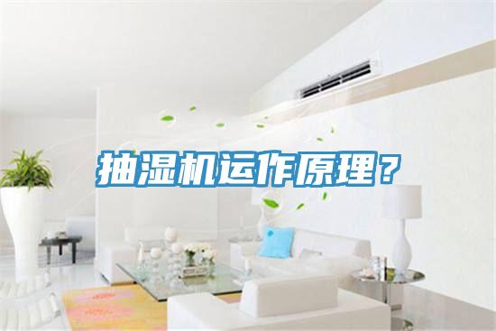 抽濕機運作原理？