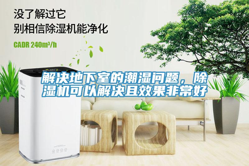 解決地下室的潮濕問題，除濕機可以解決且效果非常好