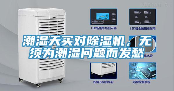 潮濕天買對除濕機，無須為潮濕問題而發愁