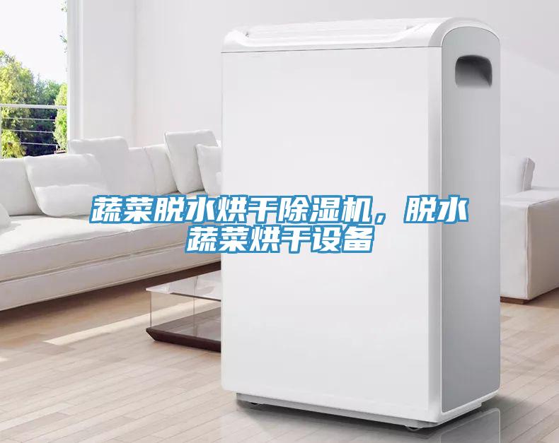 蔬菜脫水烘干除濕機，脫水蔬菜烘干設備