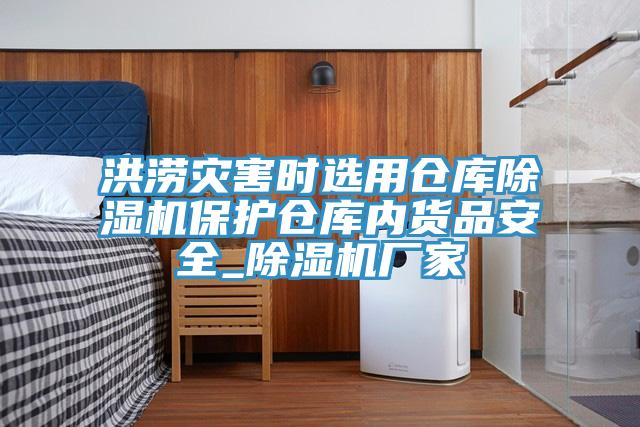 洪澇災害時選用倉庫除濕機保護倉庫內貨品安全_除濕機廠家