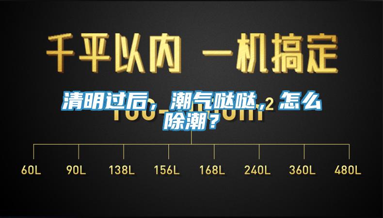清明過后，潮氣噠噠，怎么除潮？