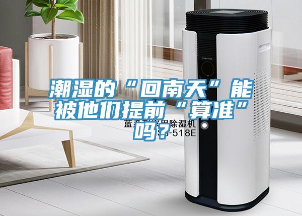 潮濕的“回南天”能被他們提前“算準”嗎？