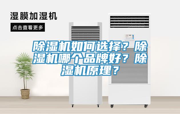 除濕機如何選擇？除濕機哪個品牌好？除濕機原理？