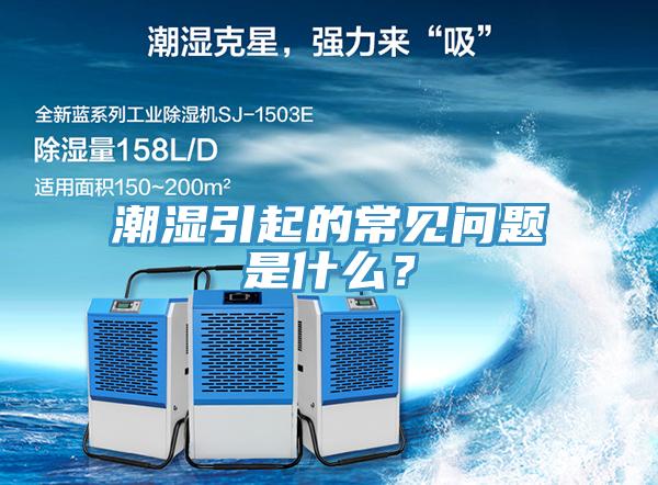 潮濕引起的常見問題是什么？