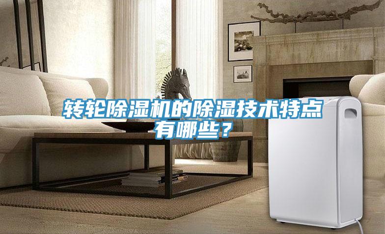 轉輪除濕機的除濕技術特點有哪些？