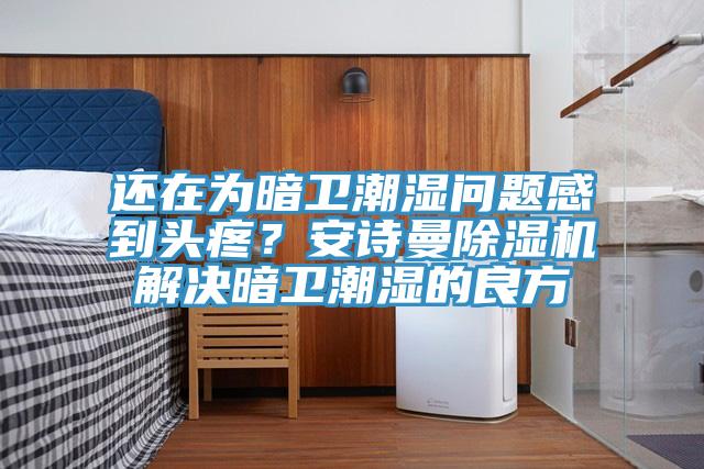 還在為暗衛潮濕問題感到頭疼？安詩曼除濕機解決暗衛潮濕的良方
