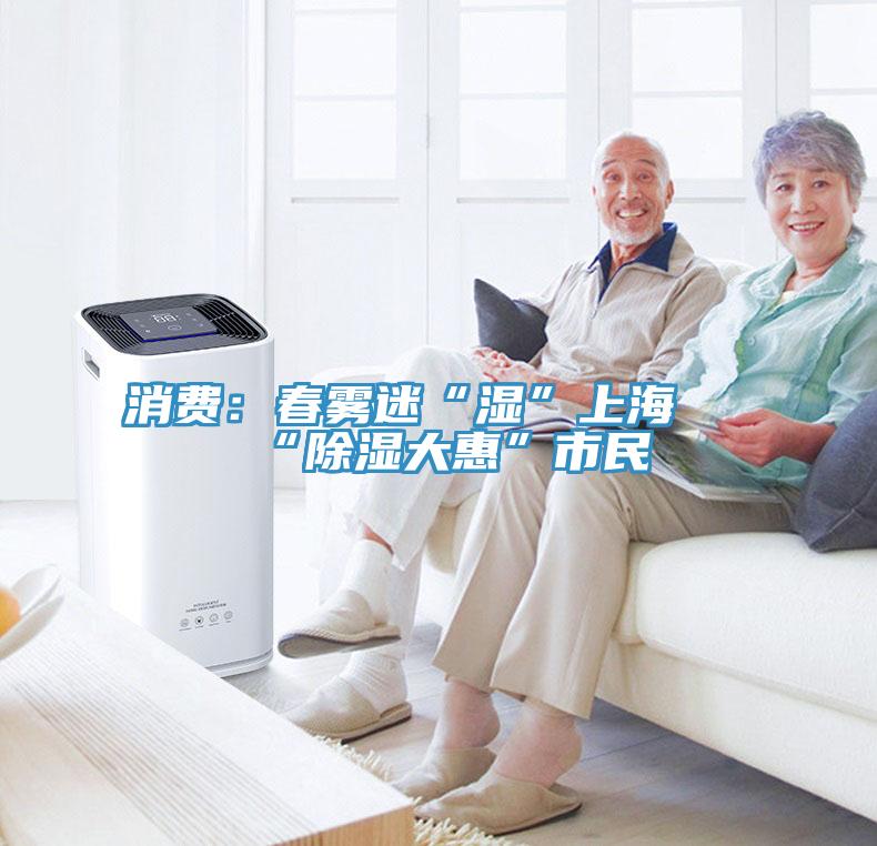 消費：春霧迷“濕”上海 “除濕大惠”市民