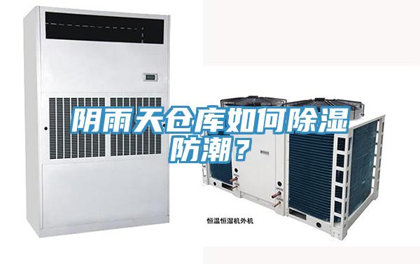 陰雨天倉庫如何除濕防潮？