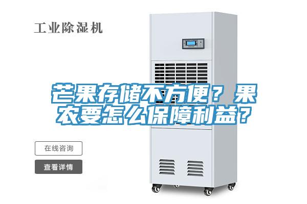 芒果存儲不方便？果農要怎么保障利益？