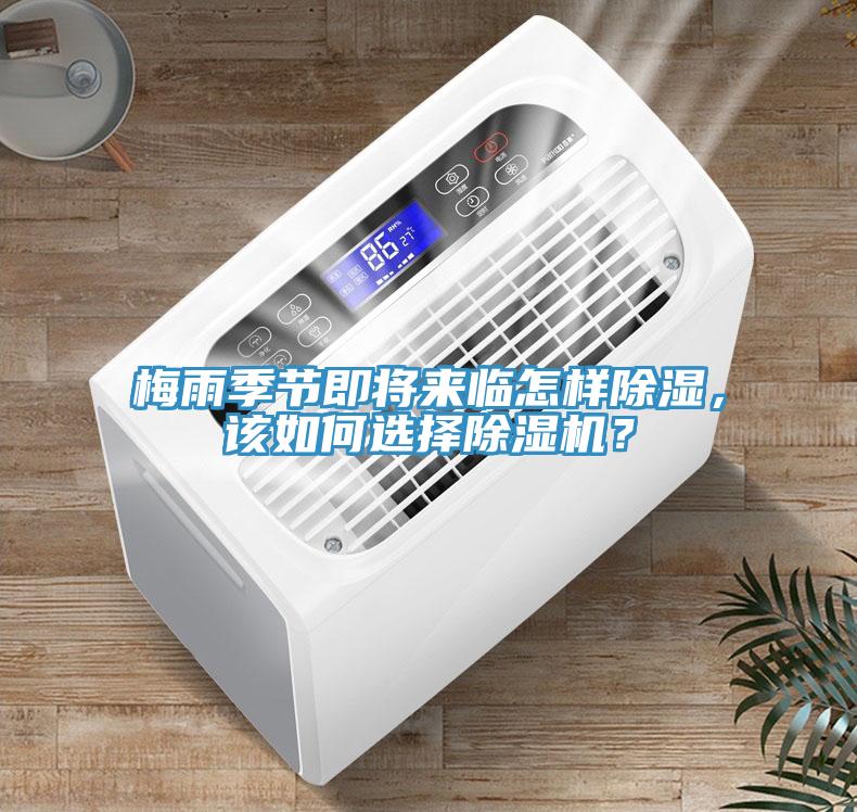 梅雨季節即將來臨怎樣除濕，該如何選擇除濕機？