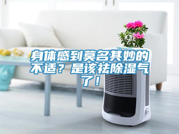 身體感到莫名其妙的不適？是該祛除濕氣了！