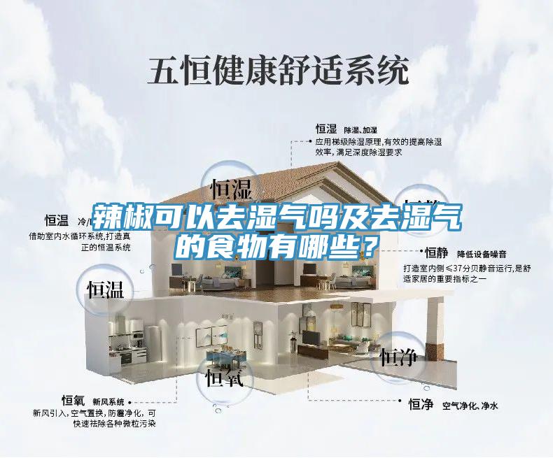 辣椒可以去濕氣嗎及去濕氣的食物有哪些？