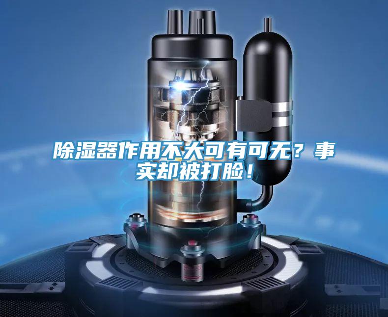 除濕器作用不大可有可無？事實卻被打臉！