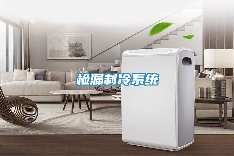 檢漏制冷系統
