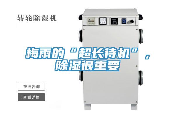 梅雨的“超長待機”，除濕很重要