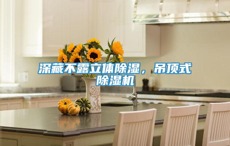 深藏不露立體除濕，吊頂式除濕機