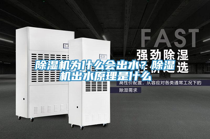 除濕機為什么會出水？除濕機出水原理是什么