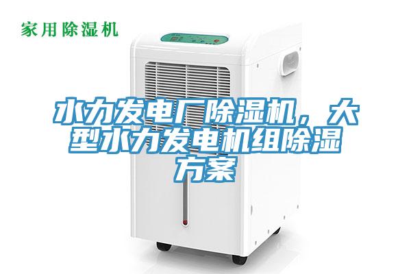 水力發電廠除濕機，大型水力發電機組除濕方案