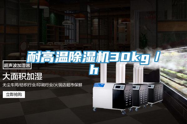 耐高溫除濕機30kg／h