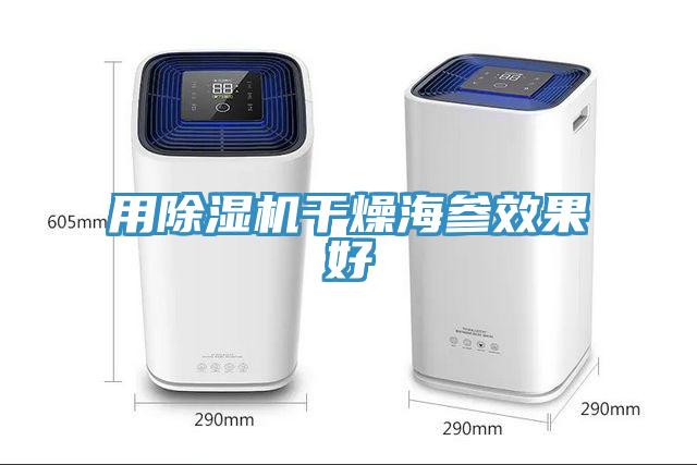 用除濕機干燥海參效果好
