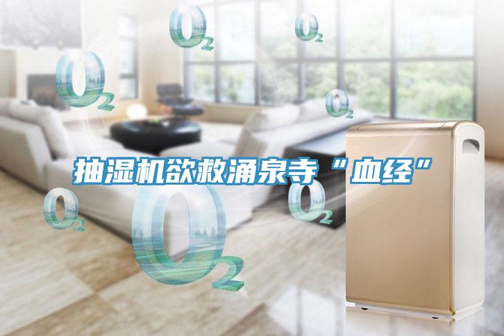 抽濕機欲救涌泉寺“血經”