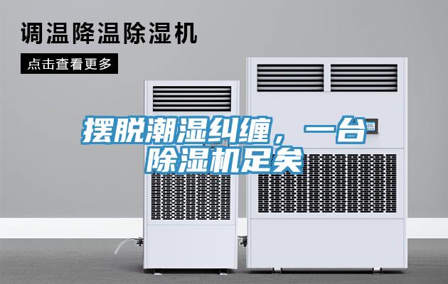 擺脫潮濕糾纏，一臺除濕機足矣