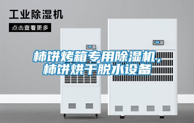 柿餅烤箱專用除濕機，柿餅烘干脫水設備