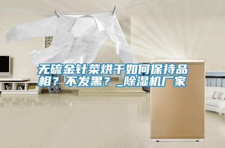無硫金針菜烘干如何保持品相？不發黑？_除濕機廠家