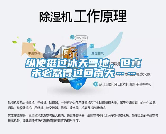 縱使挺過冰天雪地，但真未必熬得過回南天……