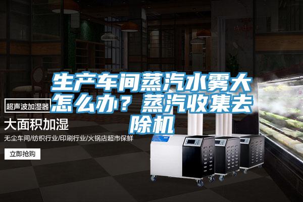 生產車間蒸汽水霧大怎么辦？蒸汽收集去除機