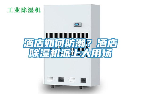 酒店如何防潮？酒店除濕機派上大用場