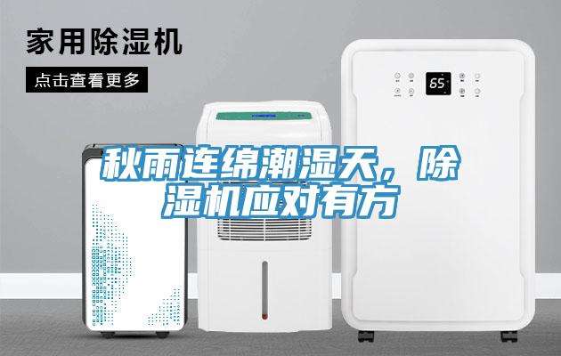 秋雨連綿潮濕天，除濕機應對有方