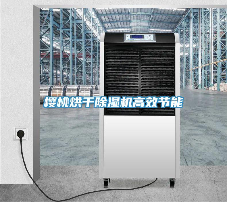 櫻桃烘干除濕機高效節能