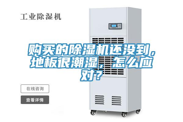 購買的除濕機還沒到，地板很潮濕，怎么應對？
