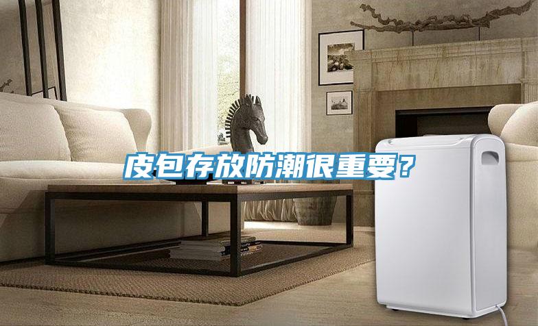 皮包存放防潮很重要？
