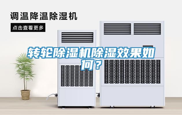 轉輪除濕機除濕效果如何？