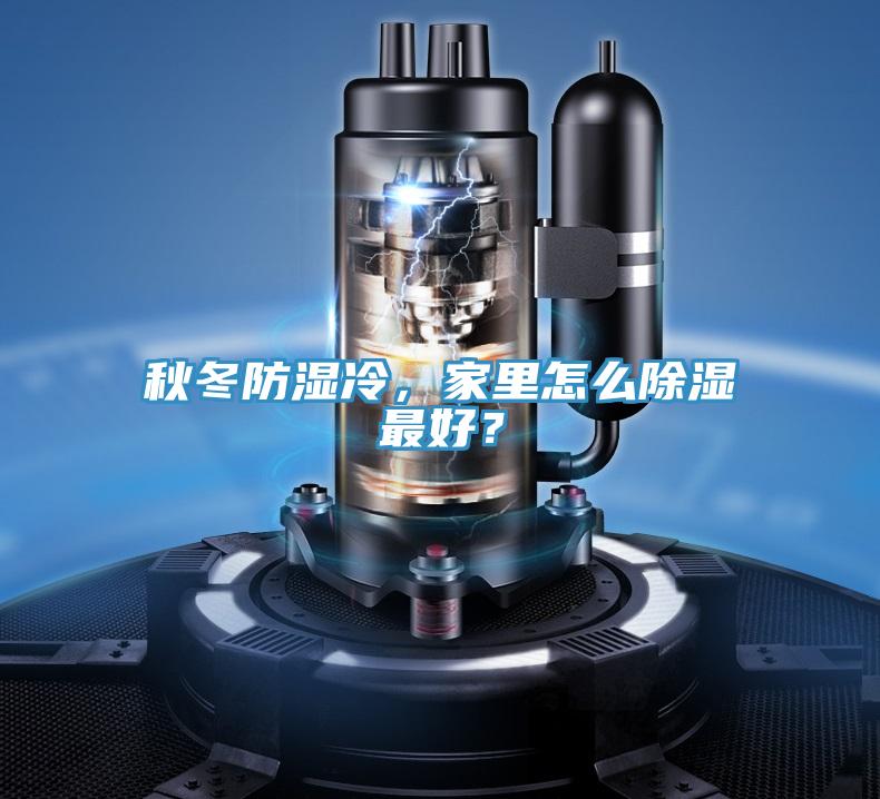 秋冬防濕冷，家里怎么除濕最好？
