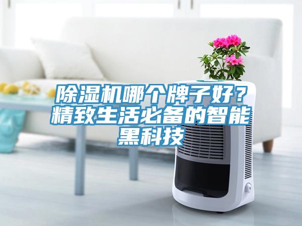除濕機哪個牌子好？精致生活必備的智能黑科技