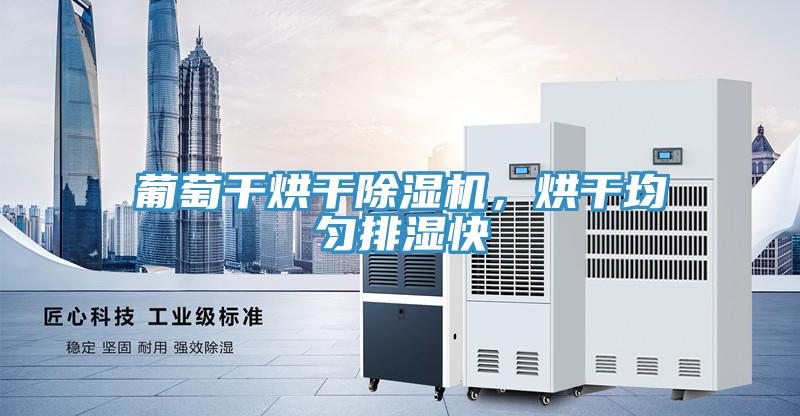 葡萄干烘干除濕機，烘干均勻排濕快