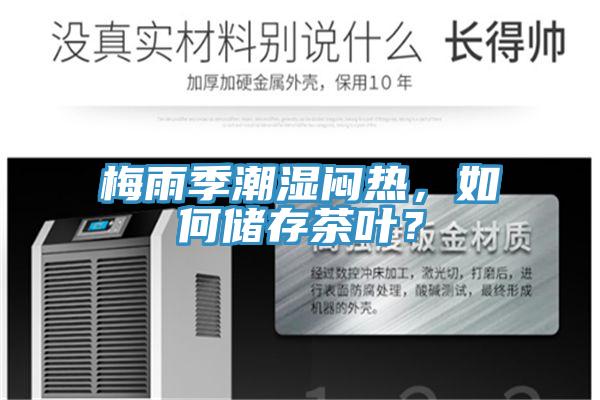 梅雨季潮濕悶熱，如何儲存茶葉？