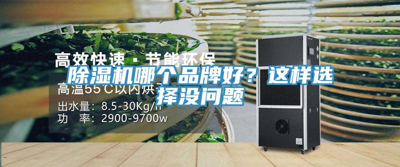 除濕機哪個品牌好？這樣選擇沒問題