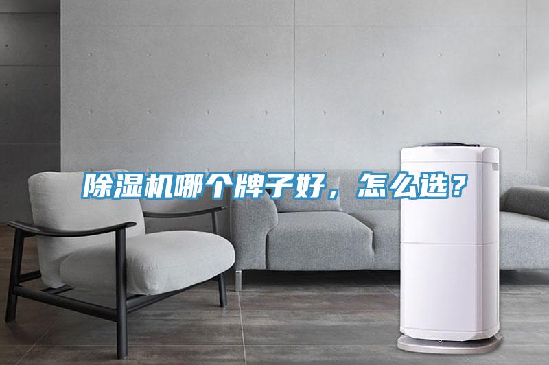 除濕機哪個牌子好，怎么選？