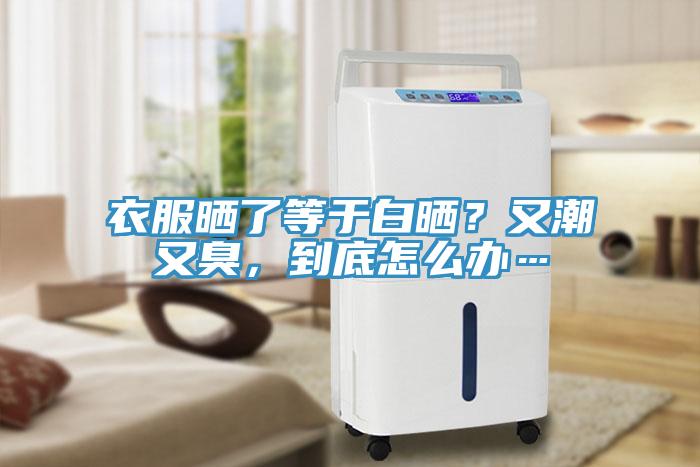 衣服曬了等于白曬？又潮又臭，到底怎么辦…