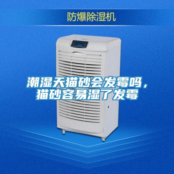 潮濕天貓砂會發霉嗎，貓砂容易濕了發霉