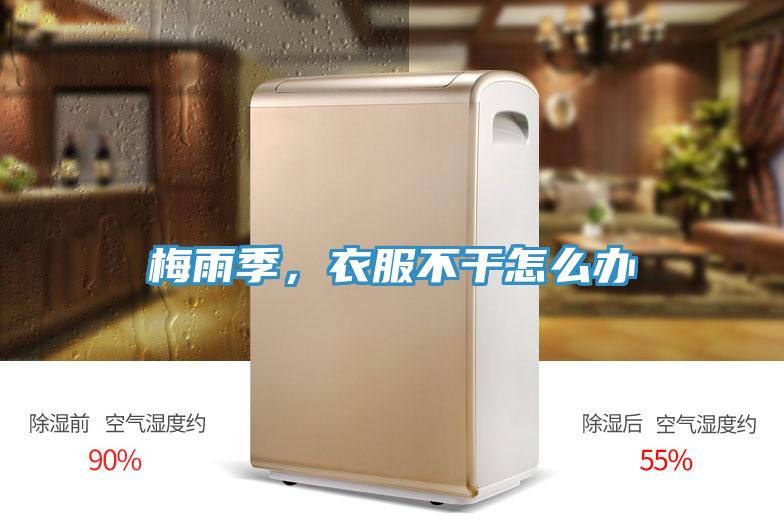 梅雨季，衣服不干怎么辦