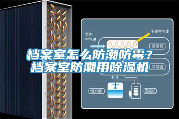 檔案室怎么防潮防霉？檔案室防潮用除濕機