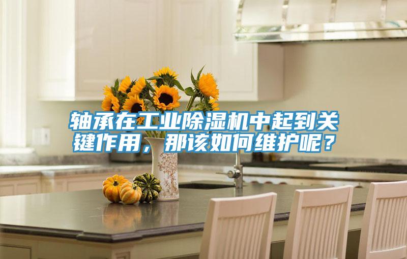 軸承在工業除濕機中起到關鍵作用，那該如何維護呢？